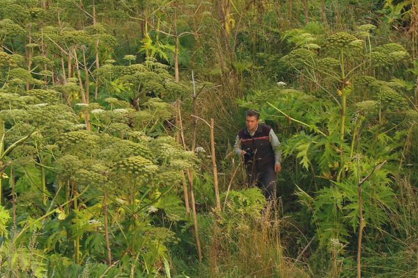 nonfictionplanet-dokumentation-invasion-der-pflanzen-03