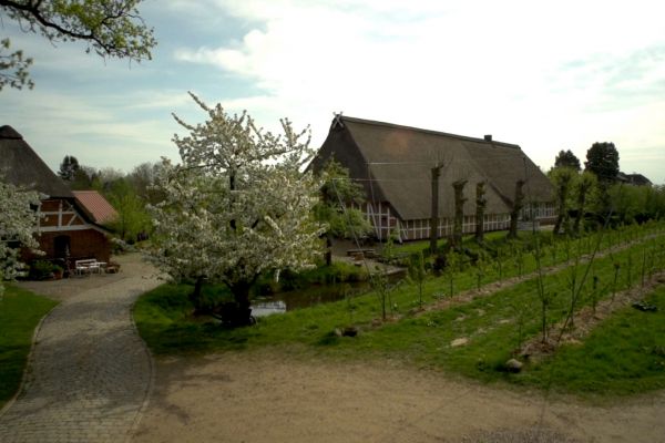 nonfictionplanet-doku-reihe-hausbesuch-03