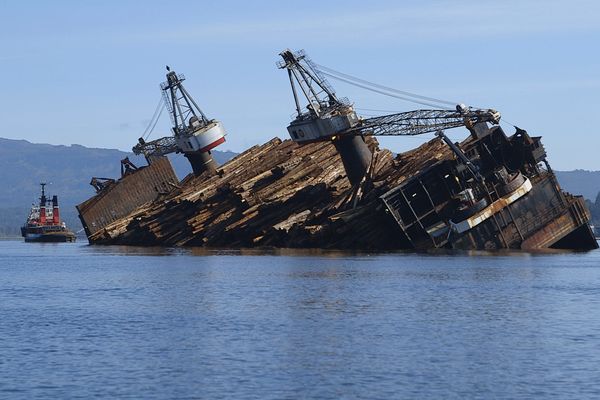 nonfictionplanet-mareTV-06