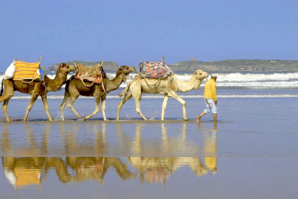 nonfictionplanet-mareTV-05