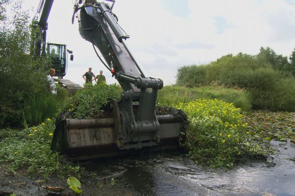 nonfictionplanet-dokumentation-invasion-der-pflanzen-02